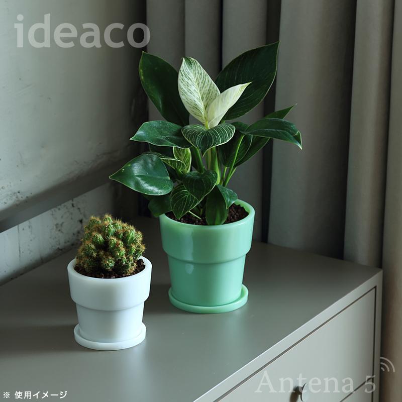 ウランガラス 鉢 ウランガラス 鉢 楽天市場】ウランガラス（キッチン