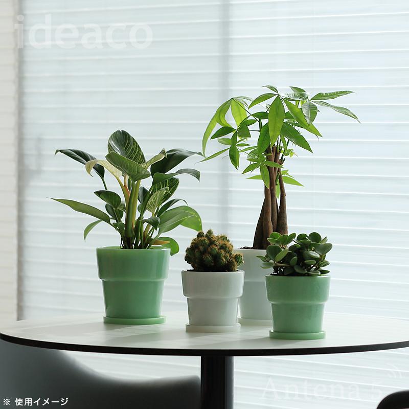 209 植木鉢 鉢 多肉 観葉 植物❤︎ミルクピッチャー型❤︎