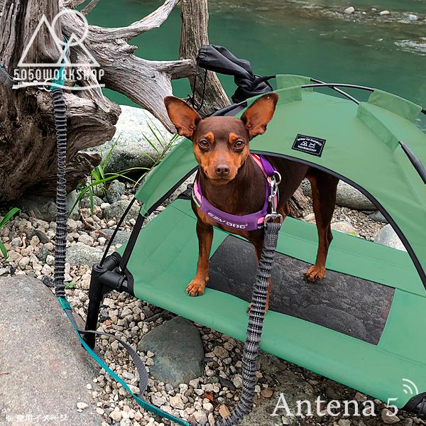 5050WORKSHOP withPET ANML TENT アニマルテント ペット用 犬 猫 5050WORKSHOP アニマルテント Sサイズ ANML TENT ペット用テント