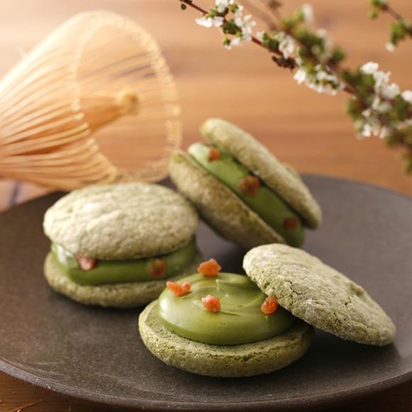 京のお濃い茶さん[地域限定] 4個入 公式アンテノール ※ダックワーズ 京都限定 抹茶 贈り物 内祝 ギフト 出産内祝 結婚御祝 百貨店 お祝い 菓子折り | アンテノール | 02