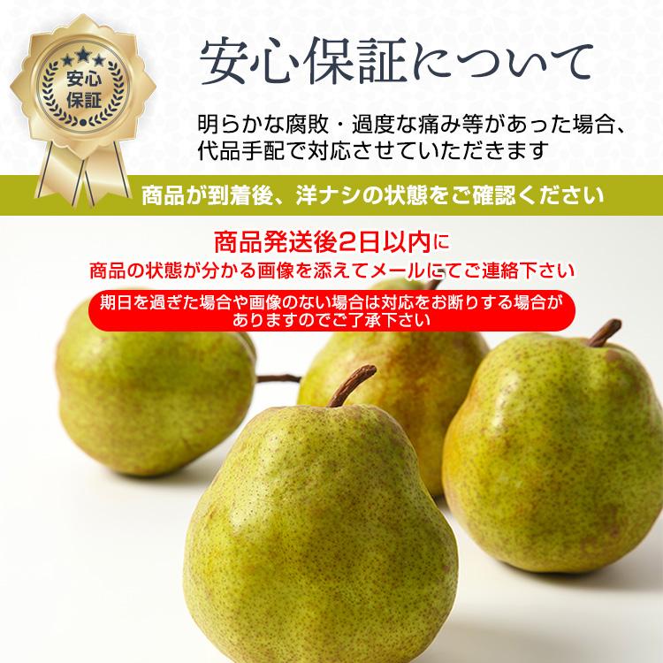 洋梨 ラフランス 果物 特秀品 2kg 山形県 産地直送 ラ・フランス フルーツ ギフト プレゼント 贈答品 送料無料 11月中旬からお届け lf-1 | ブランド登録なし | 11