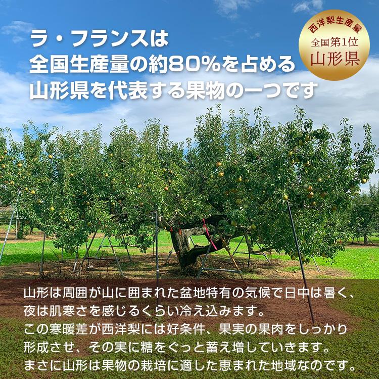 洋梨 ラフランス 果物 特秀品 2kg 山形県 産地直送 ラ・フランス フルーツ ギフト プレゼント 贈答品 送料無料 11月中旬からお届け lf-1 | ブランド登録なし | 02