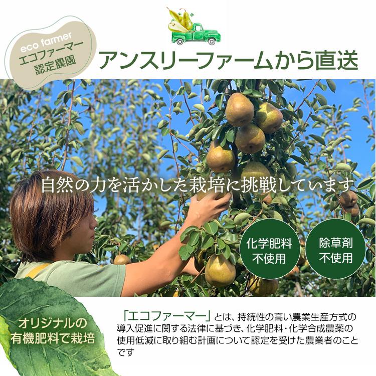 洋梨 ラフランス 果物 特秀品 2kg 山形県 産地直送 ラ・フランス フルーツ ギフト プレゼント 贈答品 送料無料 11月中旬からお届け lf-1 | ブランド登録なし | 03