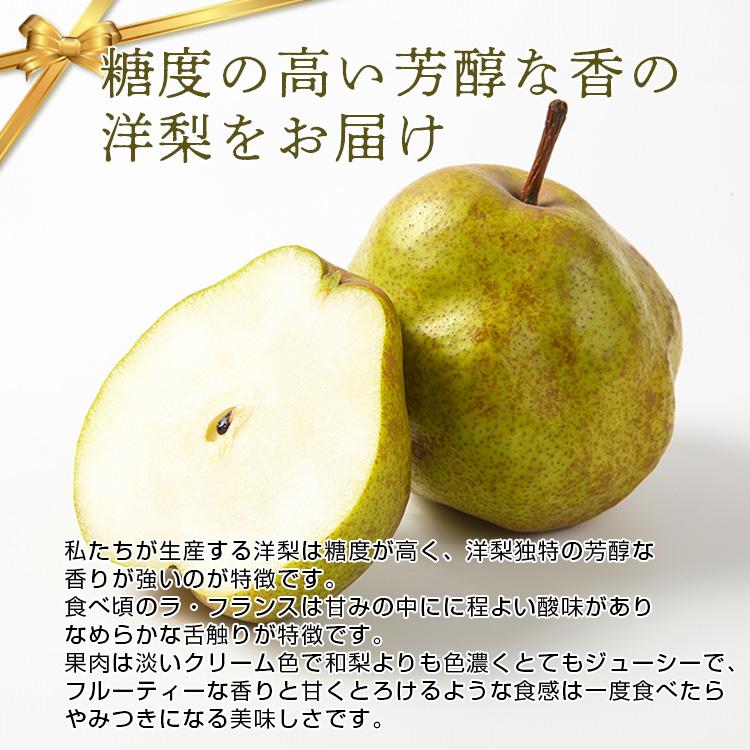 洋梨 ラフランス 果物 特秀品 2kg 山形県 産地直送 ラ・フランス フルーツ ギフト プレゼント 贈答品 送料無料 11月中旬からお届け lf-1 | ブランド登録なし | 04