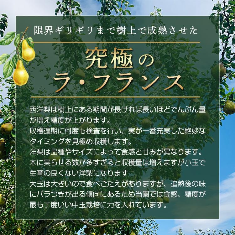 洋梨 ラフランス 果物 特秀品 2kg 山形県 産地直送 ラ・フランス フルーツ ギフト プレゼント 贈答品 送料無料 11月中旬からお届け lf-1 | ブランド登録なし | 05