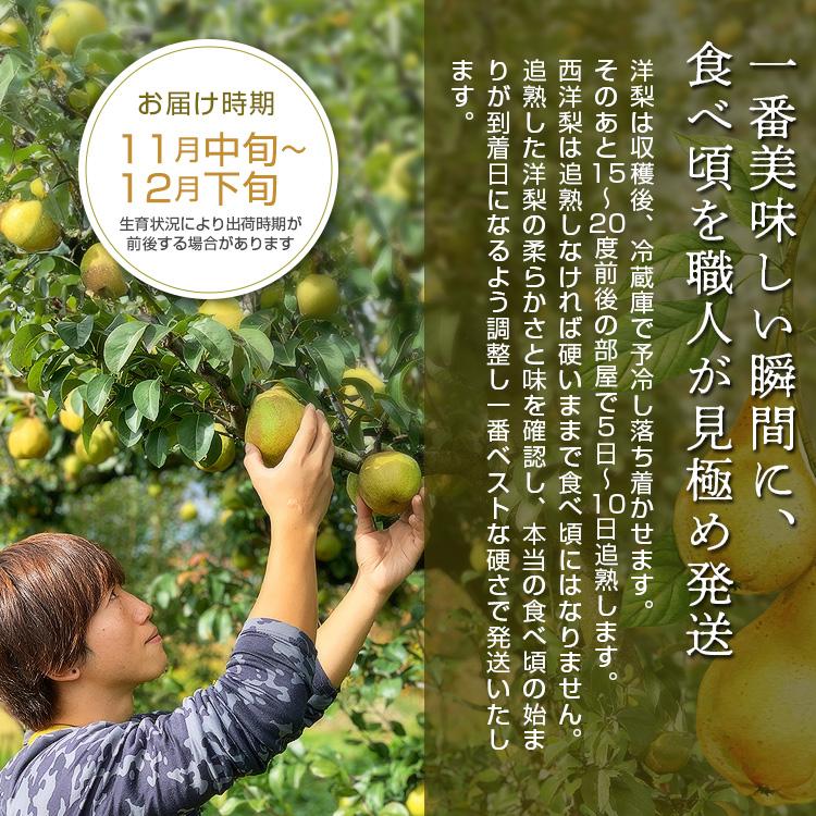 洋梨 ラフランス 果物 特秀品 2kg 山形県 産地直送 ラ・フランス フルーツ ギフト プレゼント 贈答品 送料無料 11月中旬からお届け lf-1 | ブランド登録なし | 06