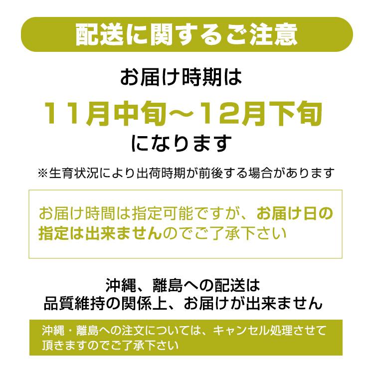 洋梨 ラフランス 果物 特秀品 2kg 山形県 産地直送 ラ・フランス フルーツ ギフト プレゼント 贈答品 送料無料 11月中旬からお届け lf-1 | ブランド登録なし | 10