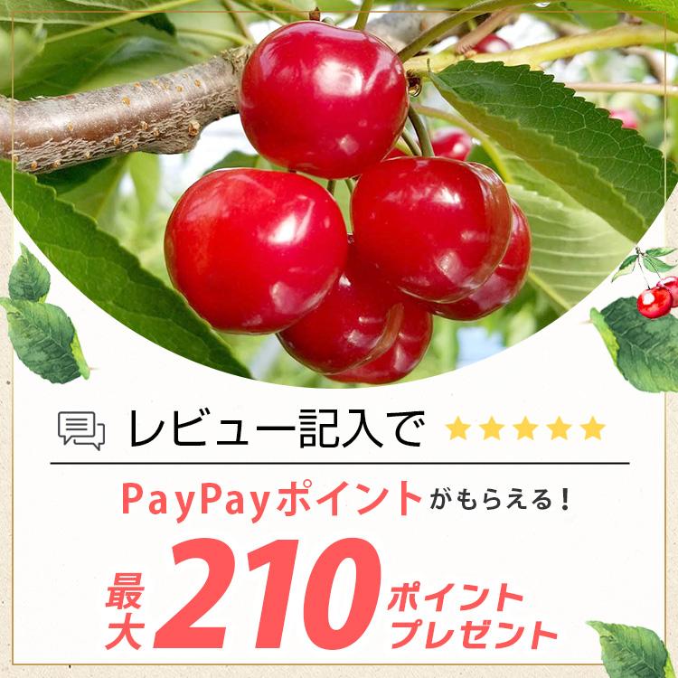 山形県産 品種おまかせ 桃 2kg 5〜10個 訳あり品 産地直送 果物