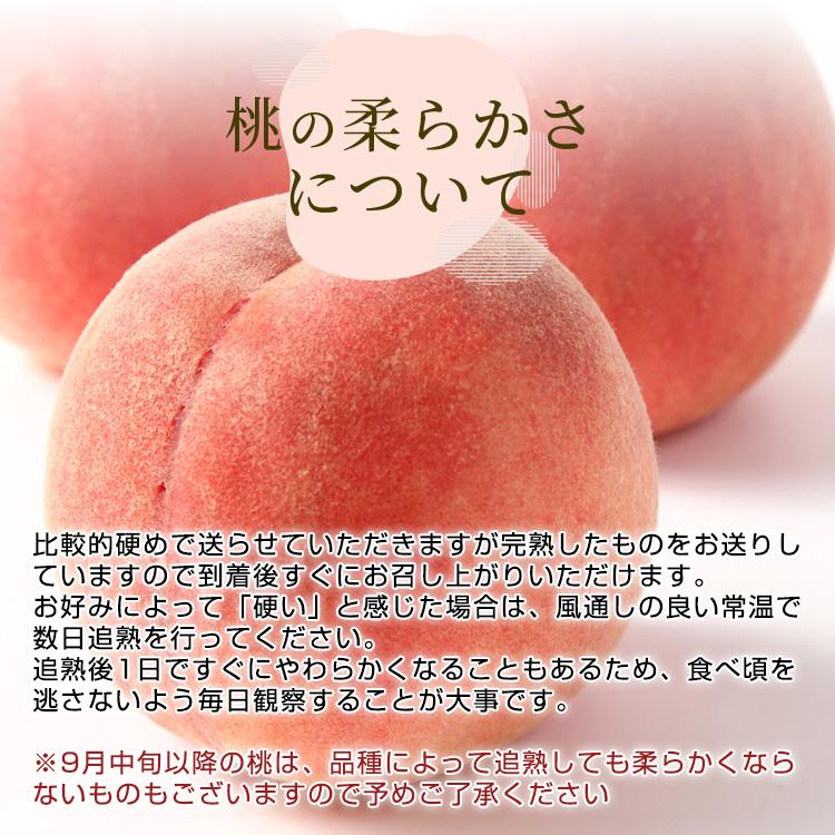 山形県産 黄金桃 桃 2kg 5〜10個 訳あり品 有機栽培 産地直送