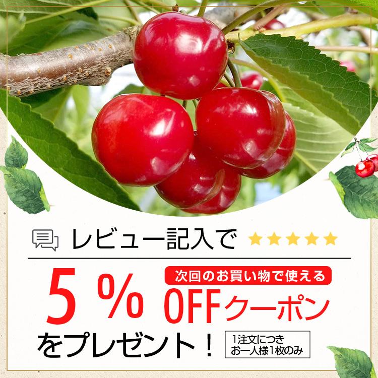 プチジェリチェリー さくらんぼ スイーツ フルーツ ゼリー