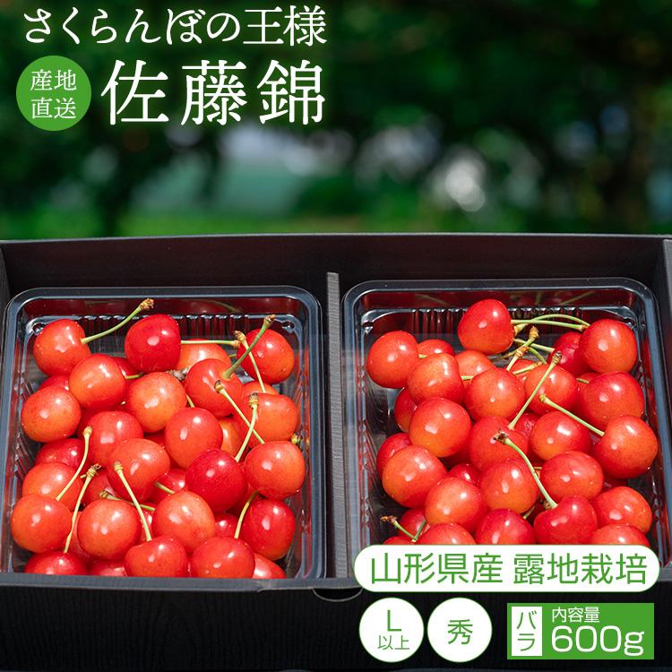 さくらんぼ 佐藤錦 果物 山形県品評会1位 農林水産大臣賞 600g 秀品 Lサイズ以上 バラ ギフト 6月中旬からお届け S-02（Yahoo!・山形果実園 アンスリーファーム）