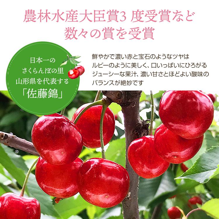 5月31日まで早割5％OFF｜ さくらんぼ 佐藤錦 有機栽培 果物 農園直送 山形県品評会1位 農林水産大臣賞 600g 秀品 L バラ ギフト 6月中旬からお届け s-2｜anthreefarm3｜02