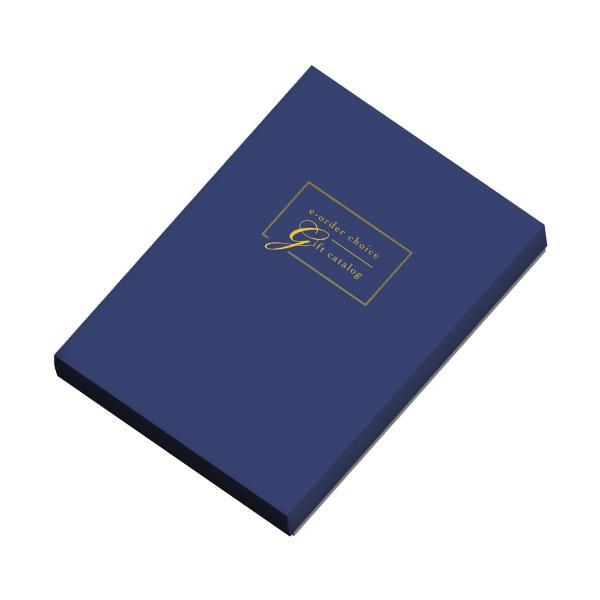 セージ-C)Mistral(ミストラル) e-order choice＜Sage-C＞ カタログ