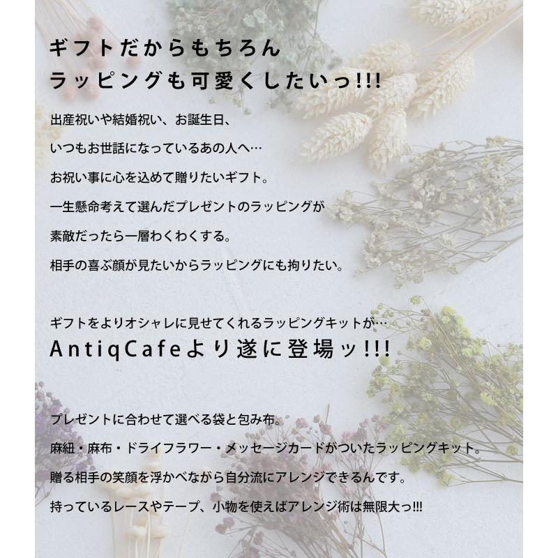 メール便可 ラッピングセット ラッピング ギフトラッピング おしゃれ 母の日 プレゼント Tc Antiqcafe 通販 Yahoo ショッピング