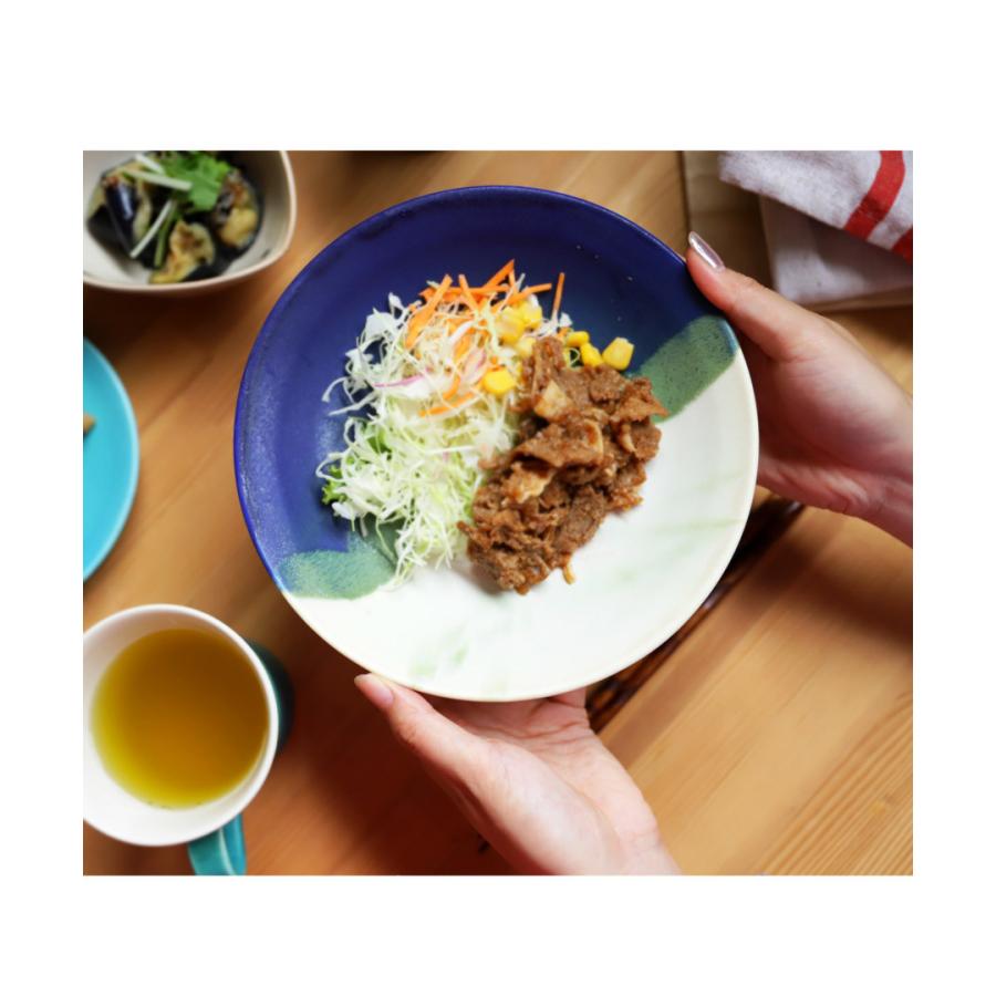 皿 リム皿 プレート PLATE 約19cm 手作り 食洗機対応 電子レンジ対応