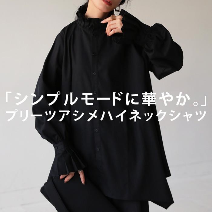 antiqua（アンティカ） プリーツハイネックシャツ ブラウス レディース