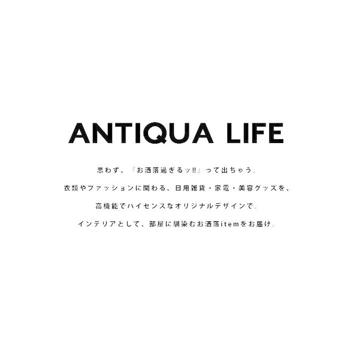 ブラシアイロン ヘアアイロン ブラシ コードレス 充電式・再販。メール便不可｜antiqua｜02