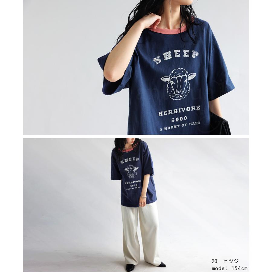 antiqua アニマル カレッジロゴ Tシャツ レディース トップス 綿 antiqua アニマル カレッジロゴ Tシャツ レディース トップス 綿