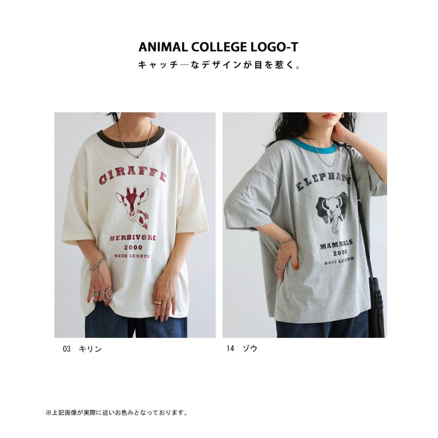 antiqua アニマル カレッジロゴ Tシャツ レディース トップス 綿 antiqua アニマル カレッジロゴ Tシャツ レディース トップス 綿