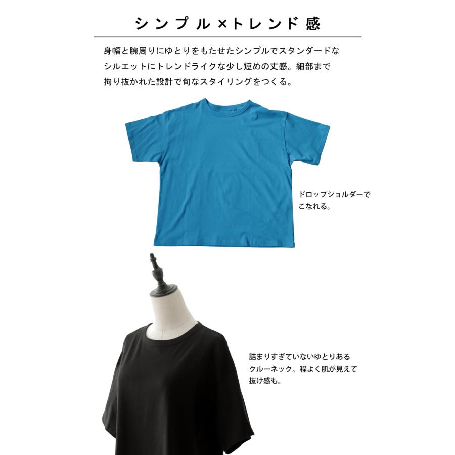 コットンTシャツ Tシャツ レディース トップス 半袖 無地 ・80ptメール便可 | antiqua | 16