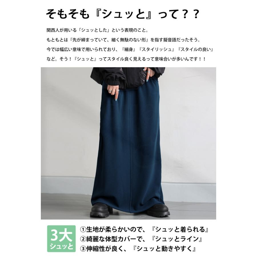 シュッと美 ロングスカート レディース ボトムス 送料無料・再入荷 メール便不可 | antiqua | 12