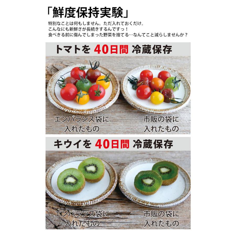 ジッパーバッグ フレッシュキーパー 保存袋 5点セット 35枚入り