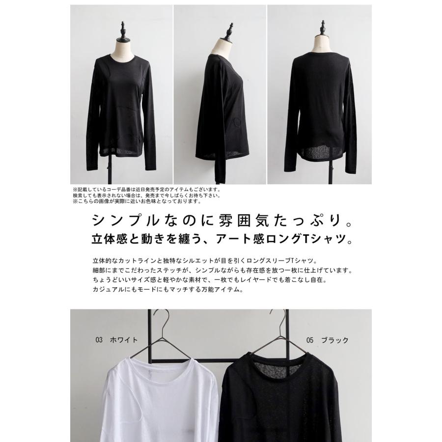 antiqua（アンティカ） シアーロンT レディース 長袖 カットソー