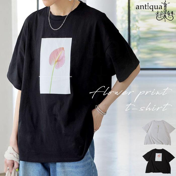 【新品未使用】ANAYI 花柄半袖トップス antiqua（アンティカ） 花柄プリントTシャツ レディース 半袖 トップス