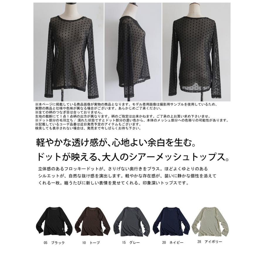 antiqua（アンティカ） ドット柄 シアー トップス レディース 長袖