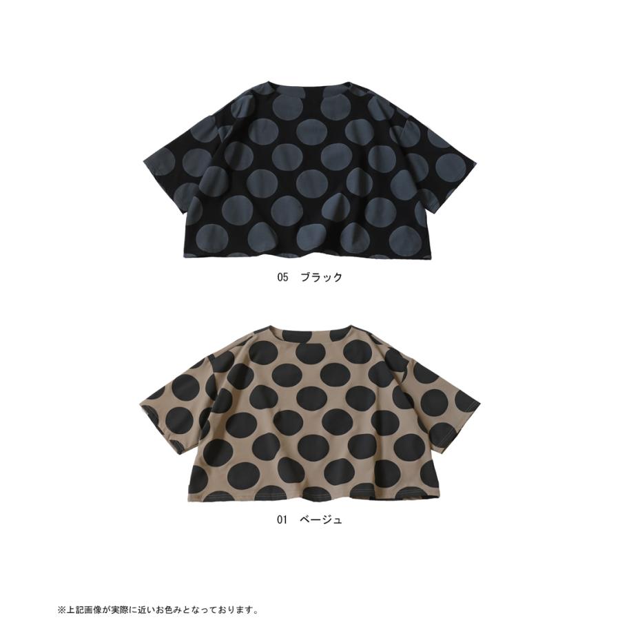antiqua（アンティカ） ドット柄トップス レディース トップス 半袖 五 