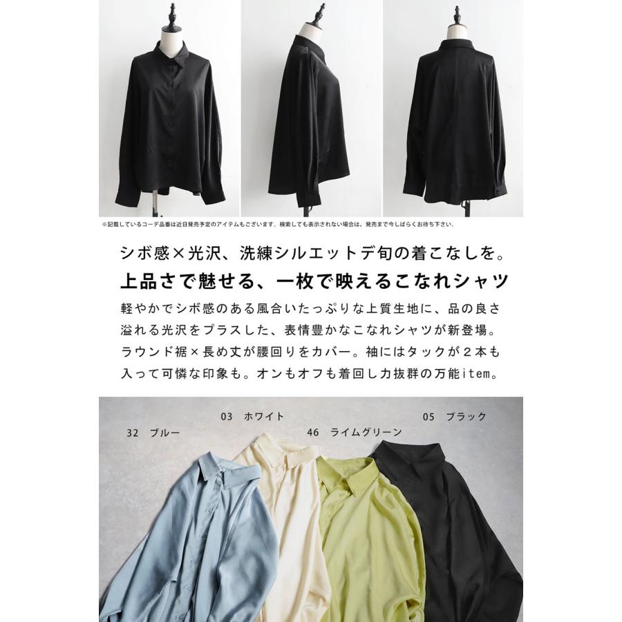 antiqua（アンティカ） シボ感シャツ シャツ レディース トップス 長袖