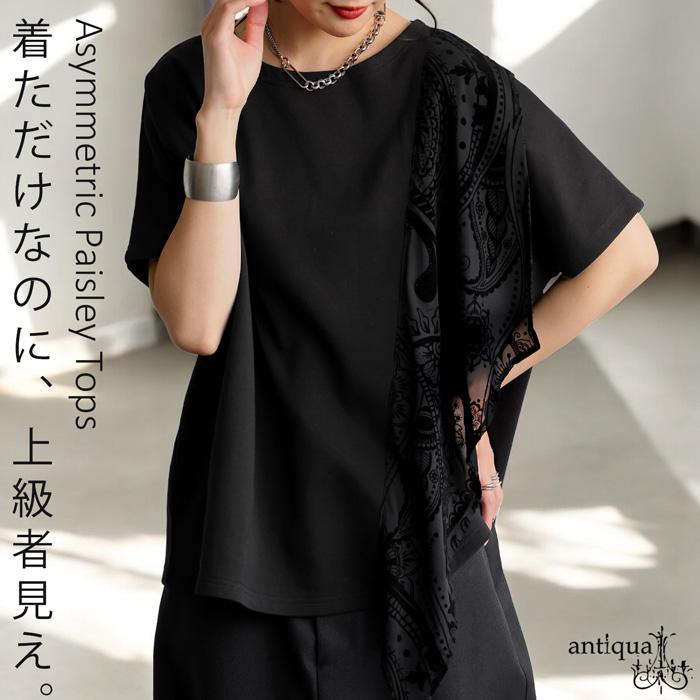 antiqua（アンティカ） ペイズリー柄切替トップス レディース 半袖