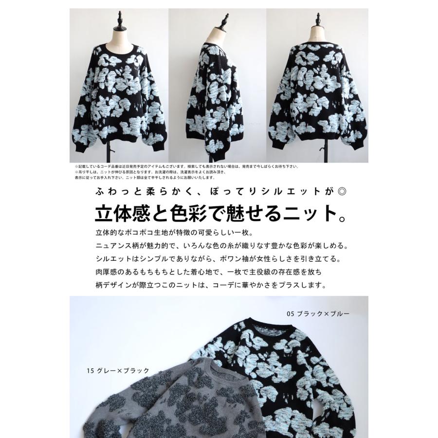 antiqua（アンティカ） ポコポコ柄ニット ニット レディース トップス