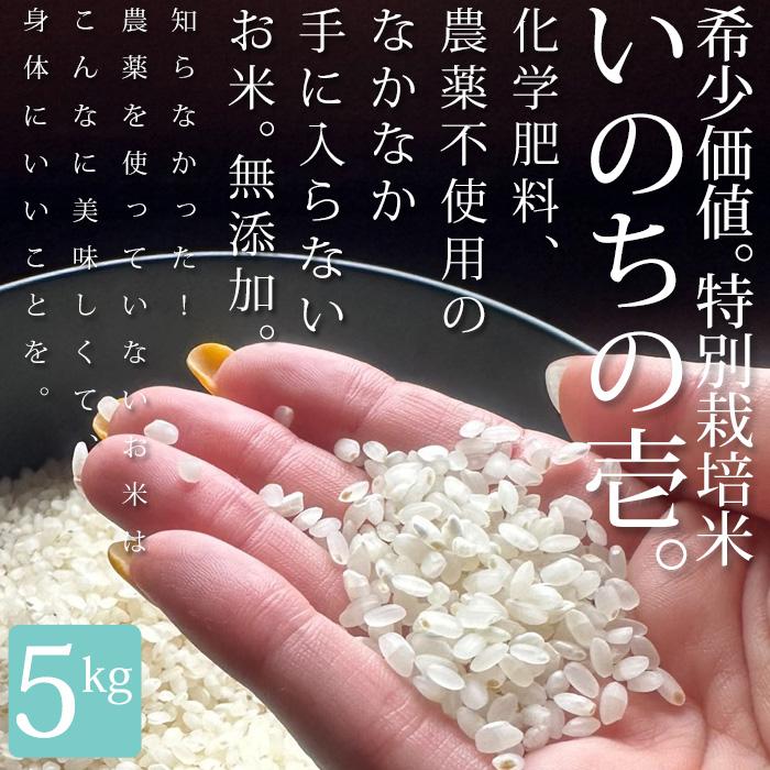 メディアでも話題!!お問い合わせ殺到!?自然栽培農法で育てた安心 メディアでも話題!!お問い合わせ殺到!?自然栽培農法で育てた安心