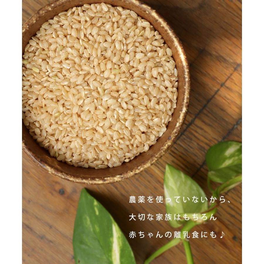 メディアでも話題!!お問い合わせ殺到!?自然栽培農法で育てた安心 メディアでも話題!!お問い合わせ殺到!?自然栽培農法で育てた安心