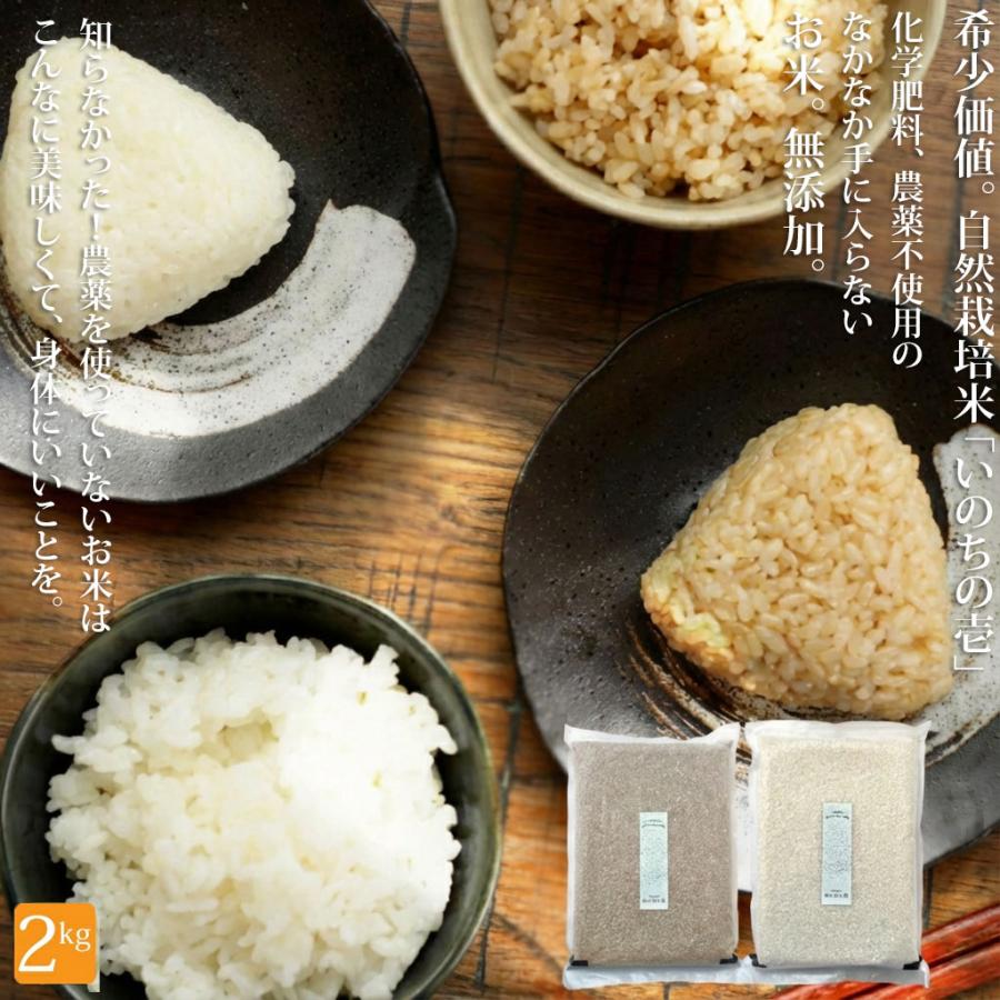 自然栽培 玄米粉 1kg×12袋 2025年産 コシヒカリ (真空パック) 【公式通販】
