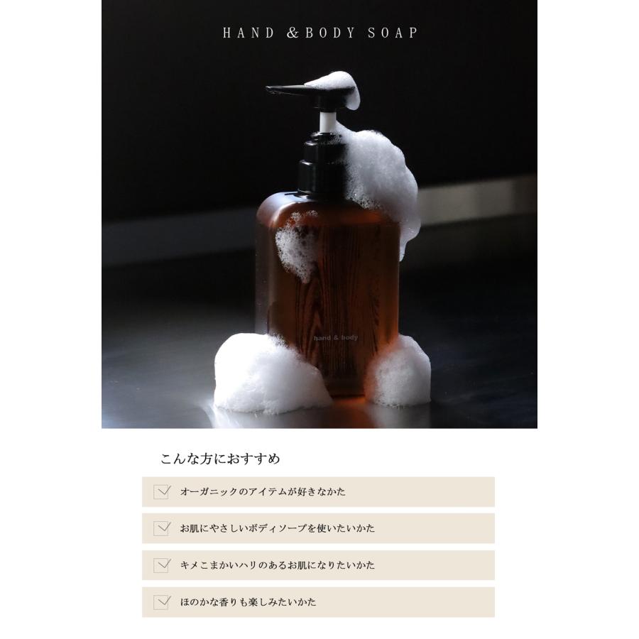 ハンドアンドボディソープ ボトル 本体 500ml ・メール便不可 父の日