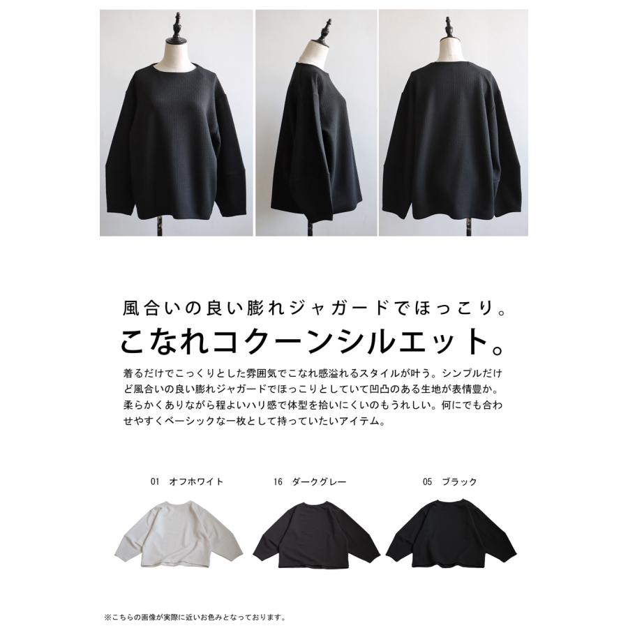 antiqua（アンティカ） コクーントップス プルオーバー レディース 