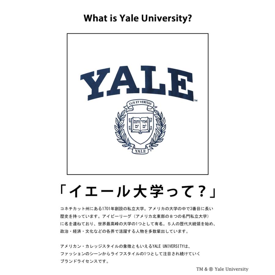 別注 YALE カレッジロゴ ロンT メンズ 送料無料・再販。100ptメール便可【Z】｜antiqua｜08