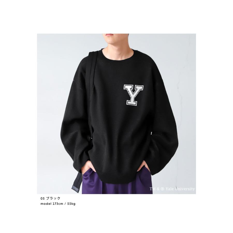 antiqua（アンティカ） 別注 YALE カレッジロゴ ニット メンズ 送料 