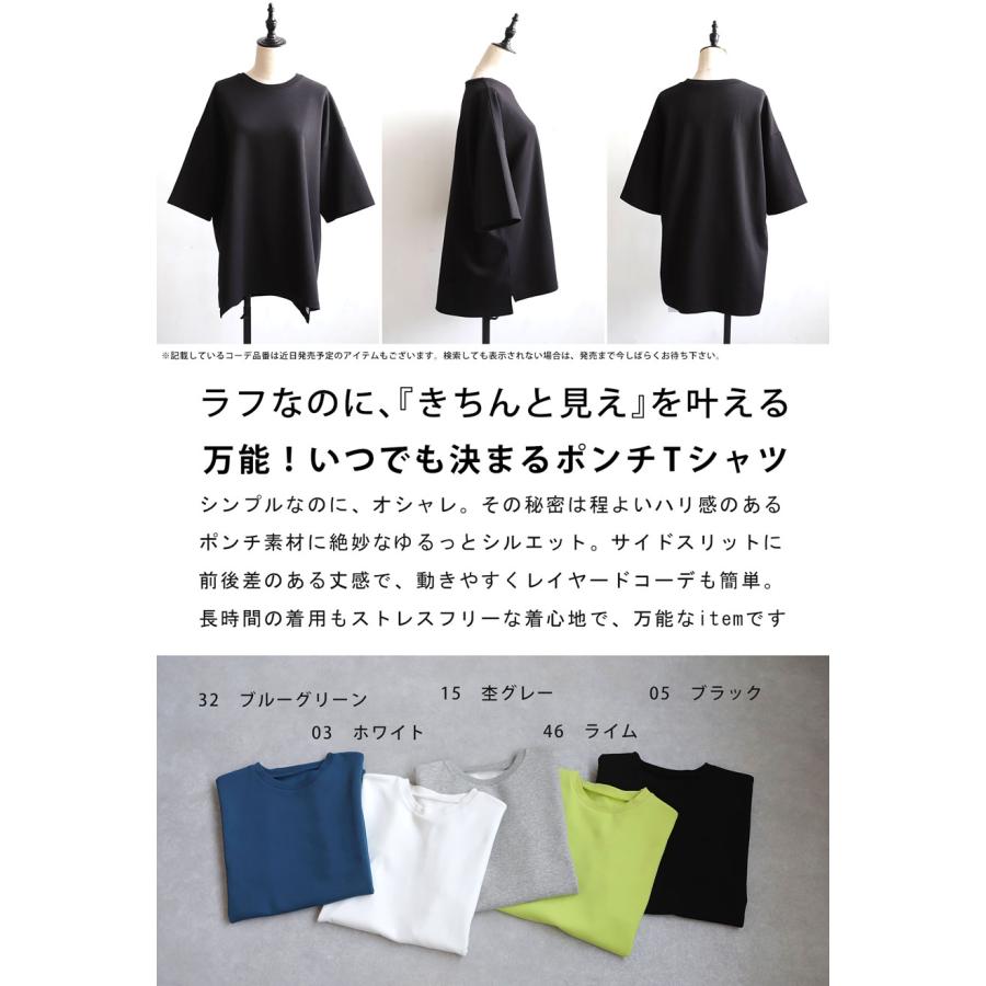 antiqua（アンティカ） ポンチ半袖Tシャツ Tシャツ レディース