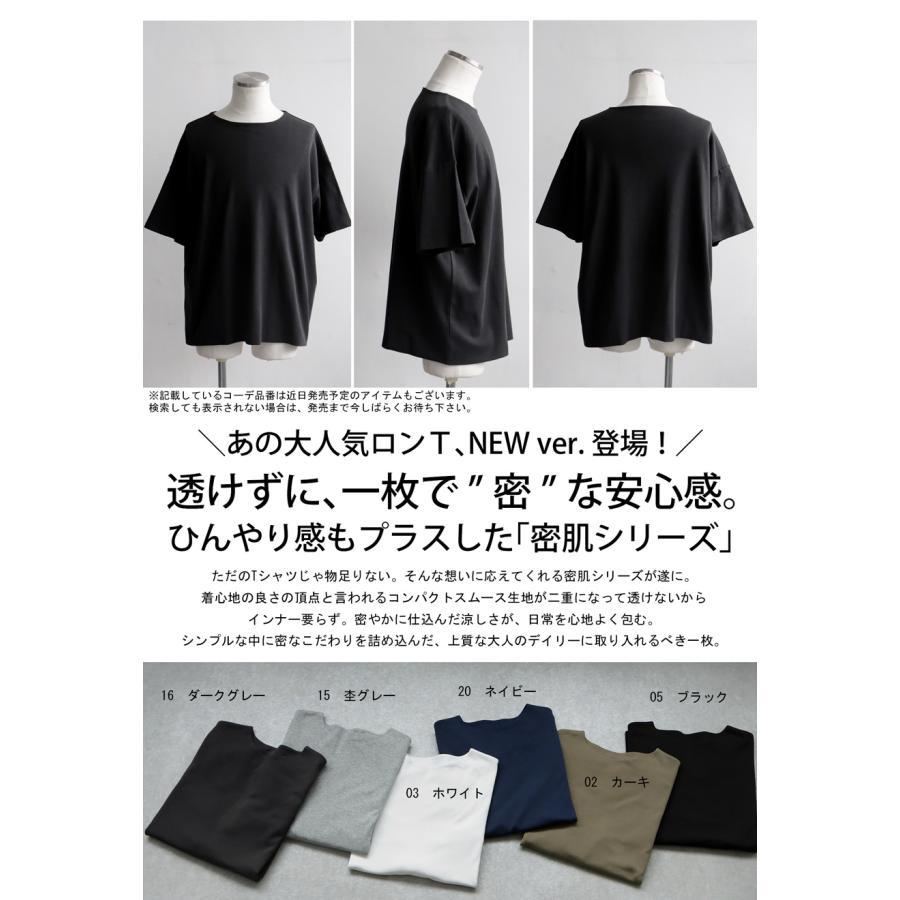 antiqua（アンティカ） 特別送料無料 Tシャツ カットソー メンズ
