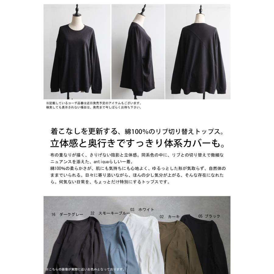 リブ切替えカットソー b-chad ブラック antiqua（アンティカ） リブ切替 トップス レディース 長袖 カットソー