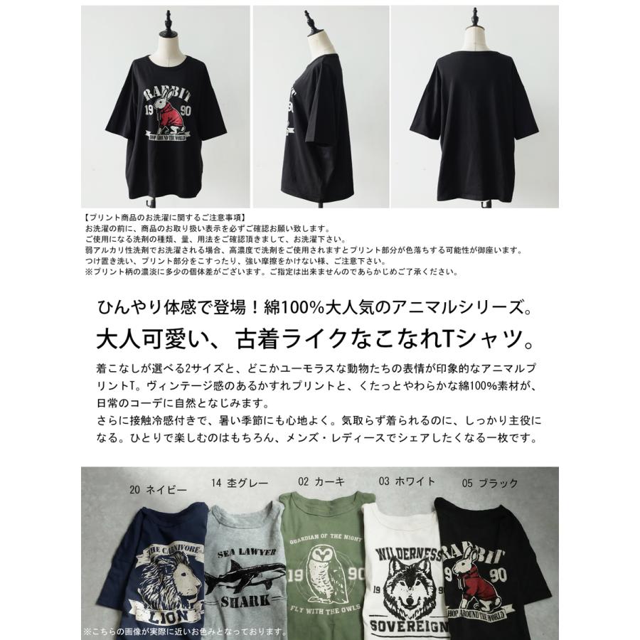 antiqua（アンティカ） 半袖 Tシャツ レディース 接触冷感 綿100