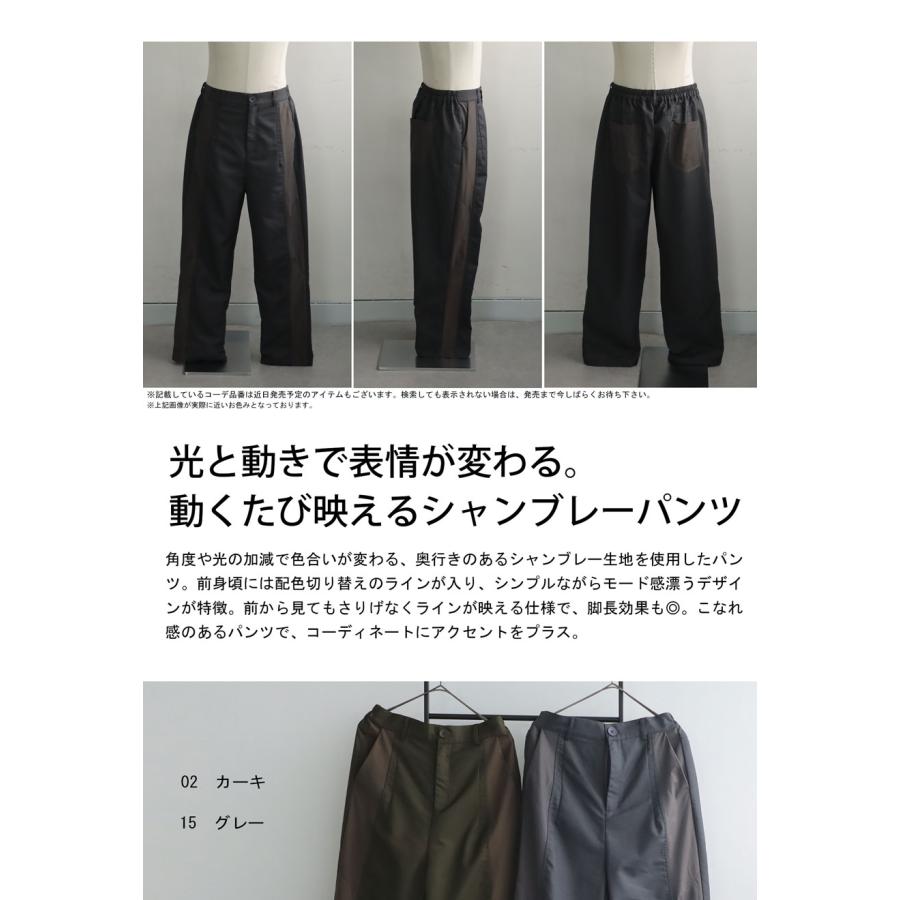 antiqua シャンブレーパンツ パンツ メンズ ボトムス 送料無料