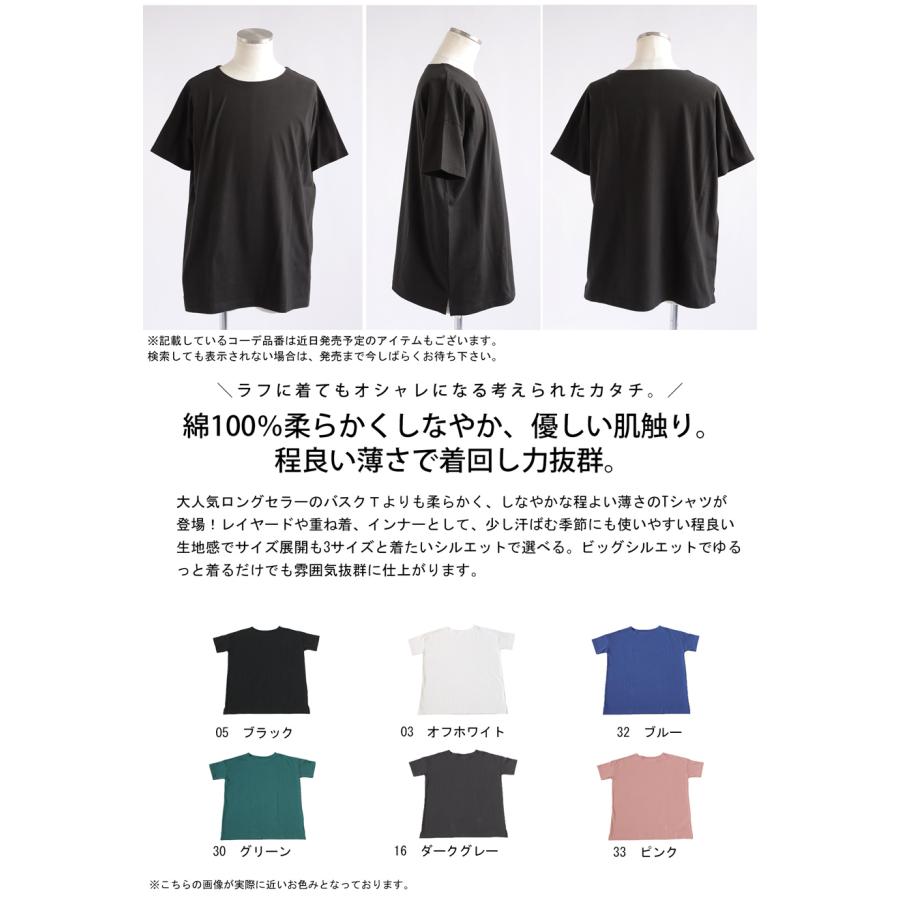 コットンTシャツ Tシャツ メンズ トップス 半袖 無地・100ptメール便可 父の日｜antiqua｜08