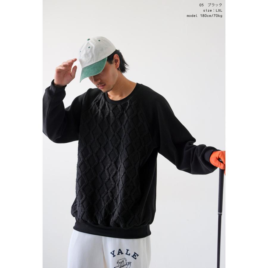 antiqua（アンティカ） ANTIQUA GOLF×STCH トップス レディース 送料