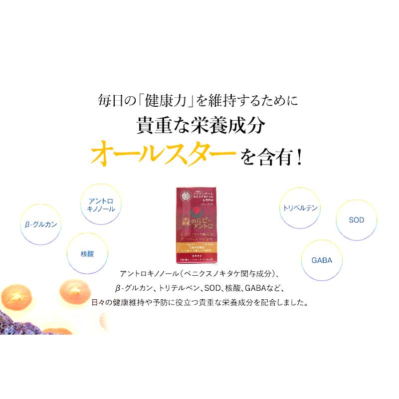『さらに期間限定8％値引き・6箱セット』最高濃度アントロキノノール含有「森のルビーアントロ」1箱 120粒入り / 飲みやすいハードカプセル（日本製造） |  | 02