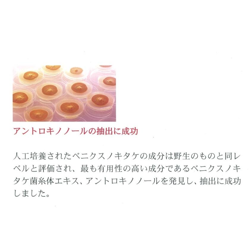 『さらに期間限定8％値引き・6箱セット』最高濃度アントロキノノール含有「森のルビーアントロ」1箱 120粒入り / 飲みやすいハードカプセル（日本製造） |  | 05