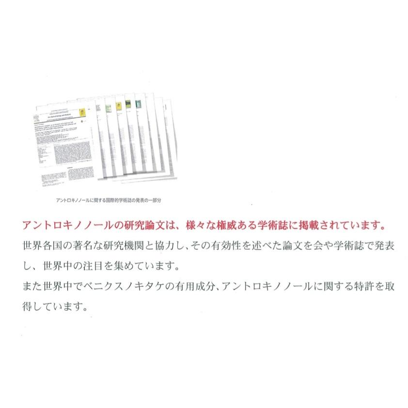 3箱セット』最高濃度アントロキノノール含有の「森の 3箱セット』最高濃度アントロキノノール含有の「森の